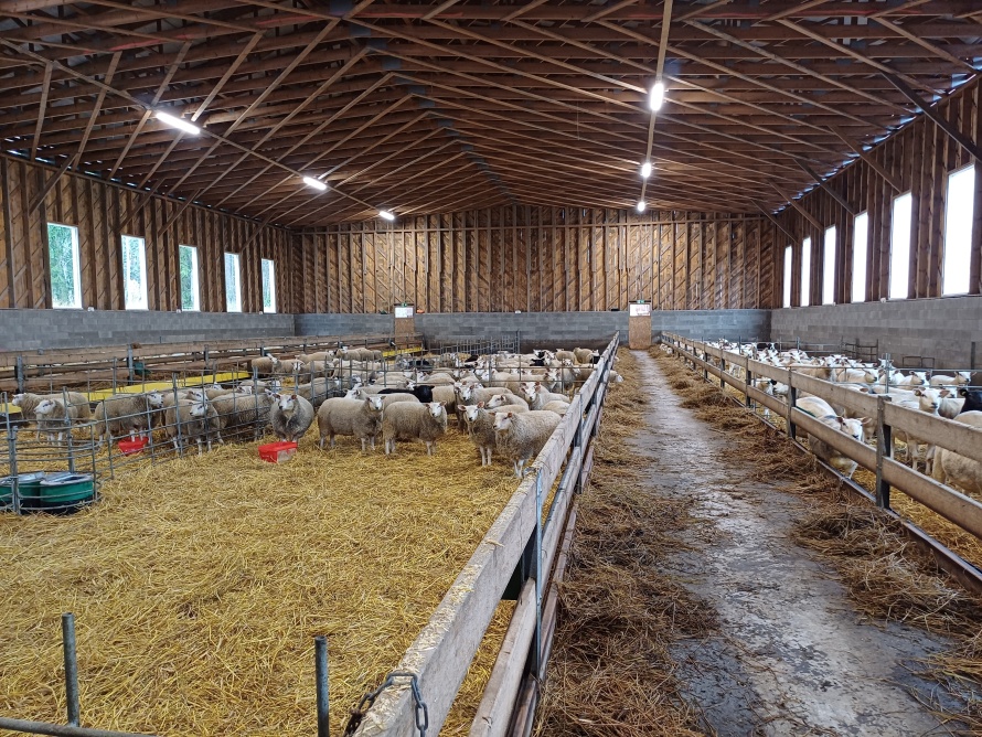 Korotettu ruokintapöytä lampolassa.