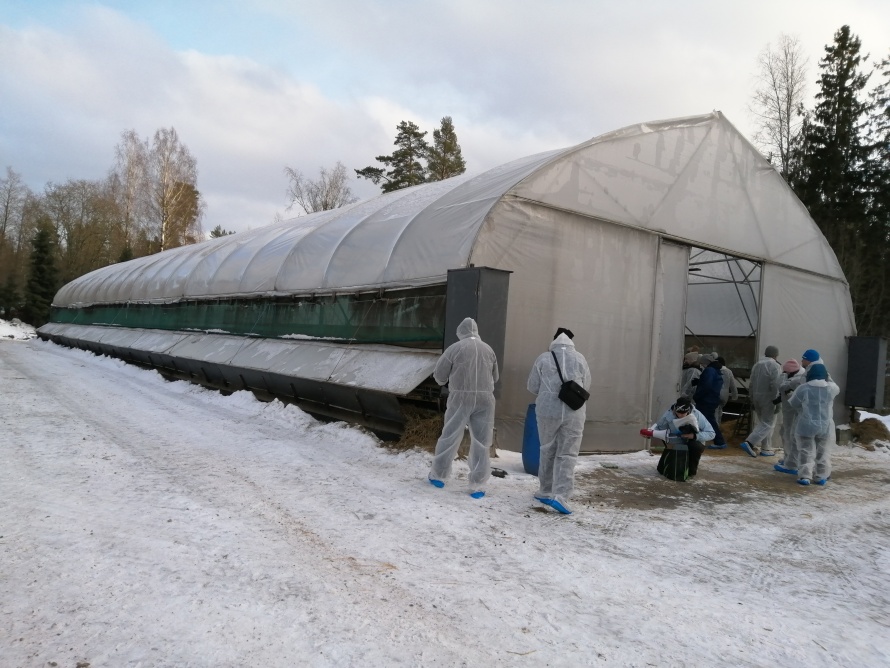 Kevytlampola kasvihuonelampola.