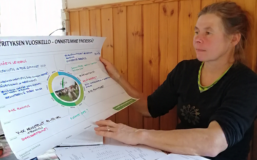 Johtamisen työkalut Vuosikello. Kuva Sari Heltelä Lampuri esittelee tilansa vuosikelloa. Kuva Sari Heltelä.